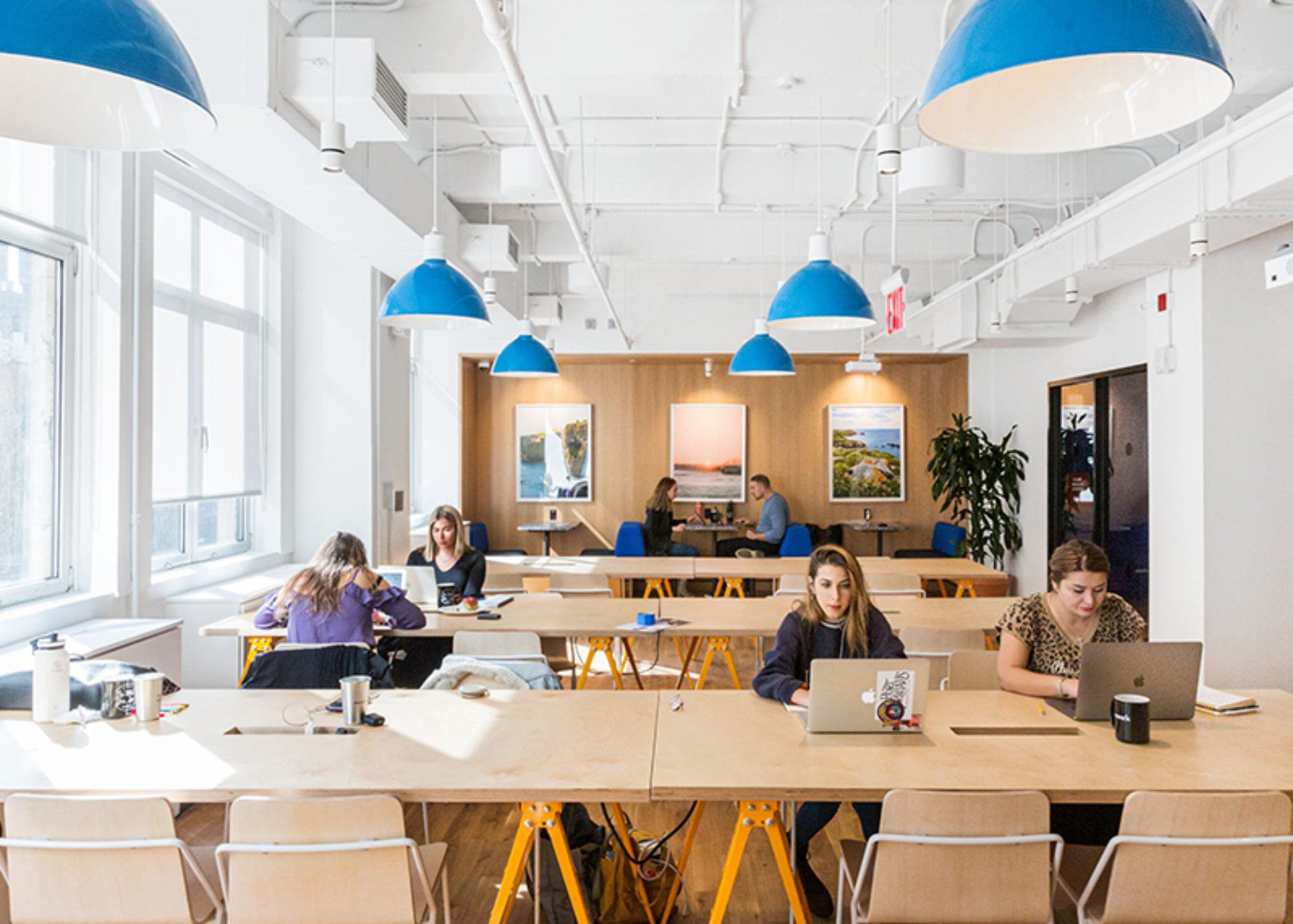 Lighting Ambiance Contributes To Work Environment