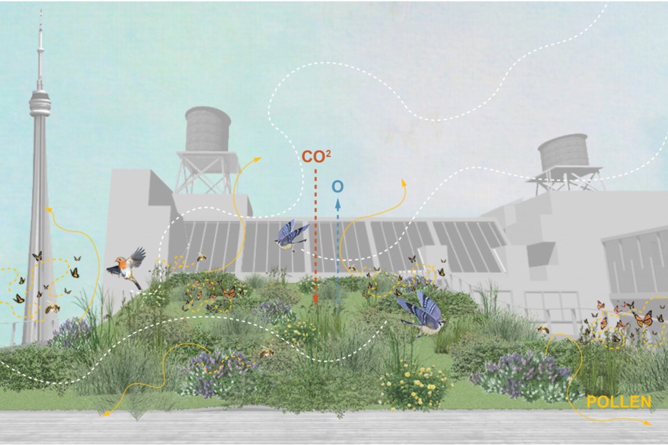 A Project By A Laurentian Architecture Graduate Is Recognized