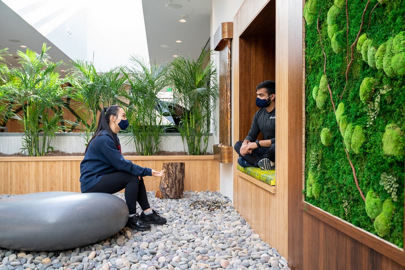 Two persons talking to each other in a green office