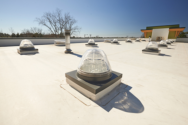 Two rows of 12 clear acrylic domes, with six on each row, at Delta Gear’s rooftop at daytime in Michigan